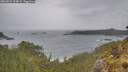 ./images/calvert/foggy-cove/20260524/foggy-cove20260524_124001M.jpg
