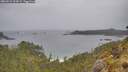 ./images/calvert/foggy-cove/20260524/foggy-cove20260524_124501M.jpg