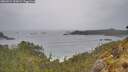 ./images/calvert/foggy-cove/20260524/foggy-cove20260524_125001M.jpg