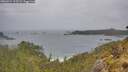 ./images/calvert/foggy-cove/20260524/foggy-cove20260524_125501M.jpg