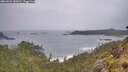 ./images/calvert/foggy-cove/20260524/foggy-cove20260524_130501M.jpg