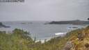 ./images/calvert/foggy-cove/20260524/foggy-cove20260524_131001M.jpg