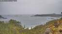 ./images/calvert/foggy-cove/20260524/foggy-cove20260524_131501M.jpg