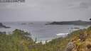 ./images/calvert/foggy-cove/20260524/foggy-cove20260524_132001M.jpg
