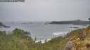 ./images/calvert/foggy-cove/20260524/foggy-cove20260524_133001M.jpg