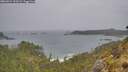 ./images/calvert/foggy-cove/20260524/foggy-cove20260524_133502M.jpg