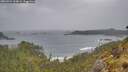 ./images/calvert/foggy-cove/20260524/foggy-cove20260524_134001M.jpg