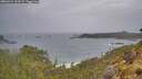 ./images/calvert/foggy-cove/20260524/foggy-cove20260524_134501M.jpg