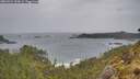 ./images/calvert/foggy-cove/20260524/foggy-cove20260524_135002M.jpg