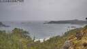 ./images/calvert/foggy-cove/20260524/foggy-cove20260524_141502M.jpg