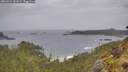 ./images/calvert/foggy-cove/20260524/foggy-cove20260524_142002M.jpg