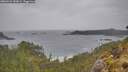 ./images/calvert/foggy-cove/20260524/foggy-cove20260524_143001M.jpg