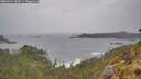 ./images/calvert/foggy-cove/20260524/foggy-cove20260524_143501M.jpg