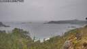 ./images/calvert/foggy-cove/20260524/foggy-cove20260524_144501M.jpg