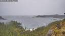 ./images/calvert/foggy-cove/20260524/foggy-cove20260524_151501M.jpg