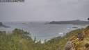 ./images/calvert/foggy-cove/20260524/foggy-cove20260524_163001M.jpg