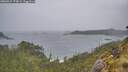 ./images/calvert/foggy-cove/20260524/foggy-cove20260524_173001M.jpg