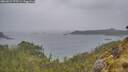 ./images/calvert/foggy-cove/20260524/foggy-cove20260524_175501M.jpg