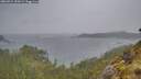 ./images/calvert/foggy-cove/20260524/foggy-cove20260524_190501M.jpg