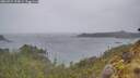 ./images/calvert/foggy-cove/20260524/foggy-cove20260524_194001M.jpg