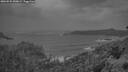 ./images/calvert/foggy-cove/20260525/foggy-cove20260525_050001M.jpg