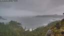 ./images/calvert/foggy-cove/20260525/foggy-cove20260525_053501M.jpg