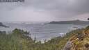 ./images/calvert/foggy-cove/20260525/foggy-cove20260525_055002M.jpg