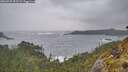 ./images/calvert/foggy-cove/20260525/foggy-cove20260525_055501M.jpg