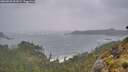 ./images/calvert/foggy-cove/20260525/foggy-cove20260525_061001M.jpg