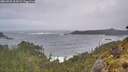 ./images/calvert/foggy-cove/20260525/foggy-cove20260525_062001M.jpg