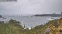 ./images/calvert/foggy-cove/20260525/foggy-cove20260525_063501M.jpg