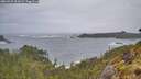 ./images/calvert/foggy-cove/20260525/foggy-cove20260525_064501M.jpg