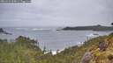 ./images/calvert/foggy-cove/20260525/foggy-cove20260525_065001M.jpg
