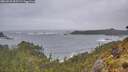 ./images/calvert/foggy-cove/20260525/foggy-cove20260525_065501M.jpg