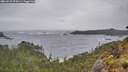 ./images/calvert/foggy-cove/20260525/foggy-cove20260525_070501M.jpg