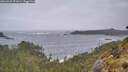 ./images/calvert/foggy-cove/20260525/foggy-cove20260525_071001M.jpg