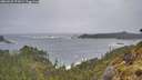 ./images/calvert/foggy-cove/20260525/foggy-cove20260525_072001M.jpg