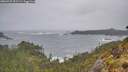 ./images/calvert/foggy-cove/20260525/foggy-cove20260525_072501M.jpg