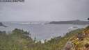 ./images/calvert/foggy-cove/20260525/foggy-cove20260525_074001M.jpg