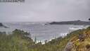 ./images/calvert/foggy-cove/20260525/foggy-cove20260525_074502M.jpg