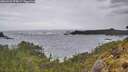 ./images/calvert/foggy-cove/20260525/foggy-cove20260525_075001M.jpg