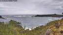 ./images/calvert/foggy-cove/20260525/foggy-cove20260525_075501M.jpg