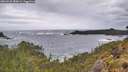 ./images/calvert/foggy-cove/20260525/foggy-cove20260525_080001M.jpg