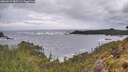 ./images/calvert/foggy-cove/20260525/foggy-cove20260525_080501M.jpg