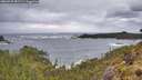 ./images/calvert/foggy-cove/20260525/foggy-cove20260525_081501M.jpg