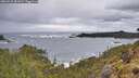 ./images/calvert/foggy-cove/20260525/foggy-cove20260525_082002M.jpg