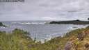 ./images/calvert/foggy-cove/20260525/foggy-cove20260525_083001M.jpg