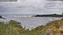 ./images/calvert/foggy-cove/20260525/foggy-cove20260525_084001M.jpg