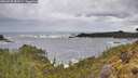 ./images/calvert/foggy-cove/20260525/foggy-cove20260525_084502M.jpg
