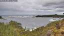 ./images/calvert/foggy-cove/20260525/foggy-cove20260525_085001M.jpg